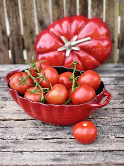 Staub Braadpan Tomaat – Kersenrood | 25 cm / 3 L